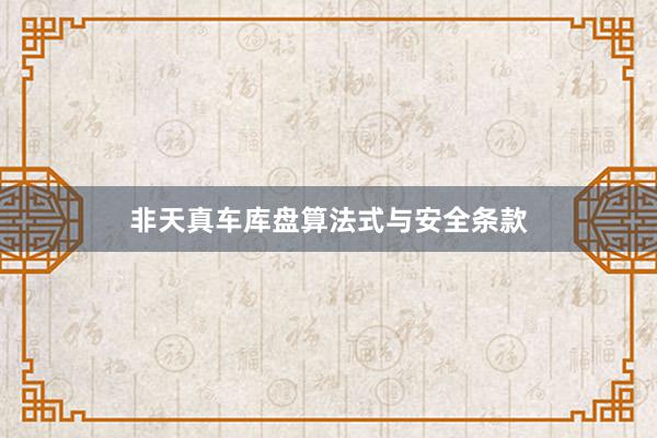 非天真车库盘算法式与安全条款