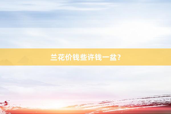 兰花价钱些许钱一盆?