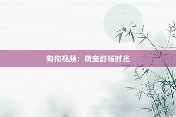 狗狗视频：萌宠酣畅时光